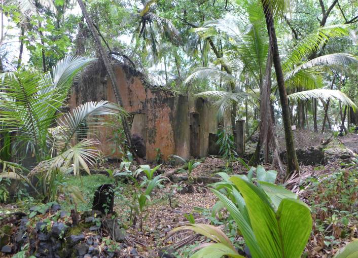 FG Ile Joseph Ruinen werden überwuchert