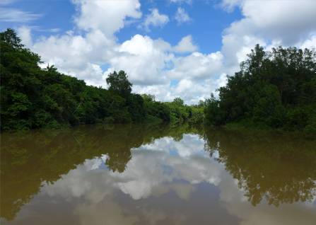 Suriname Fluss im Spiegel