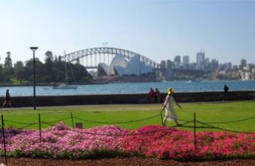 Sydney die Oper und die Harbour Bridge